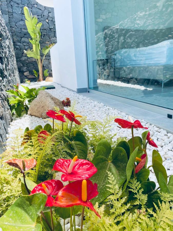 Rocavista - Villa With Heated Rooftop Pool And Amazing Ocean View Costa Adeje (Tenerife) Exterior foto